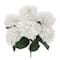 White Hydrangea Bush by Ashland®
